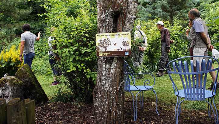 Retour de migration au ravin de Valbois